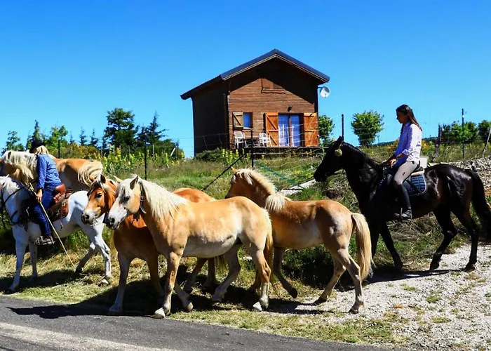Chalet En Bois Confort *